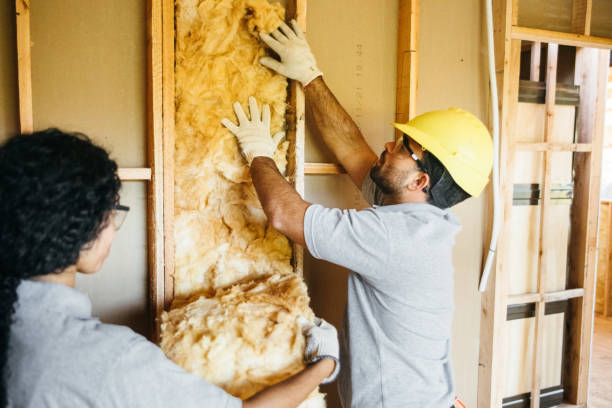 Best Spray Foam Insulation  in Royersford, PA